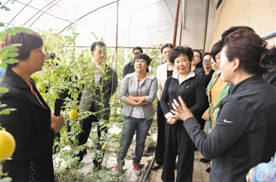 <p>　　聚焦中心任务，广泛凝心聚力，积极建言献策。图为自治区政协委员调研农村妇女就业情况。</p>