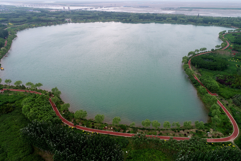 00300373170_d7476607.jpg