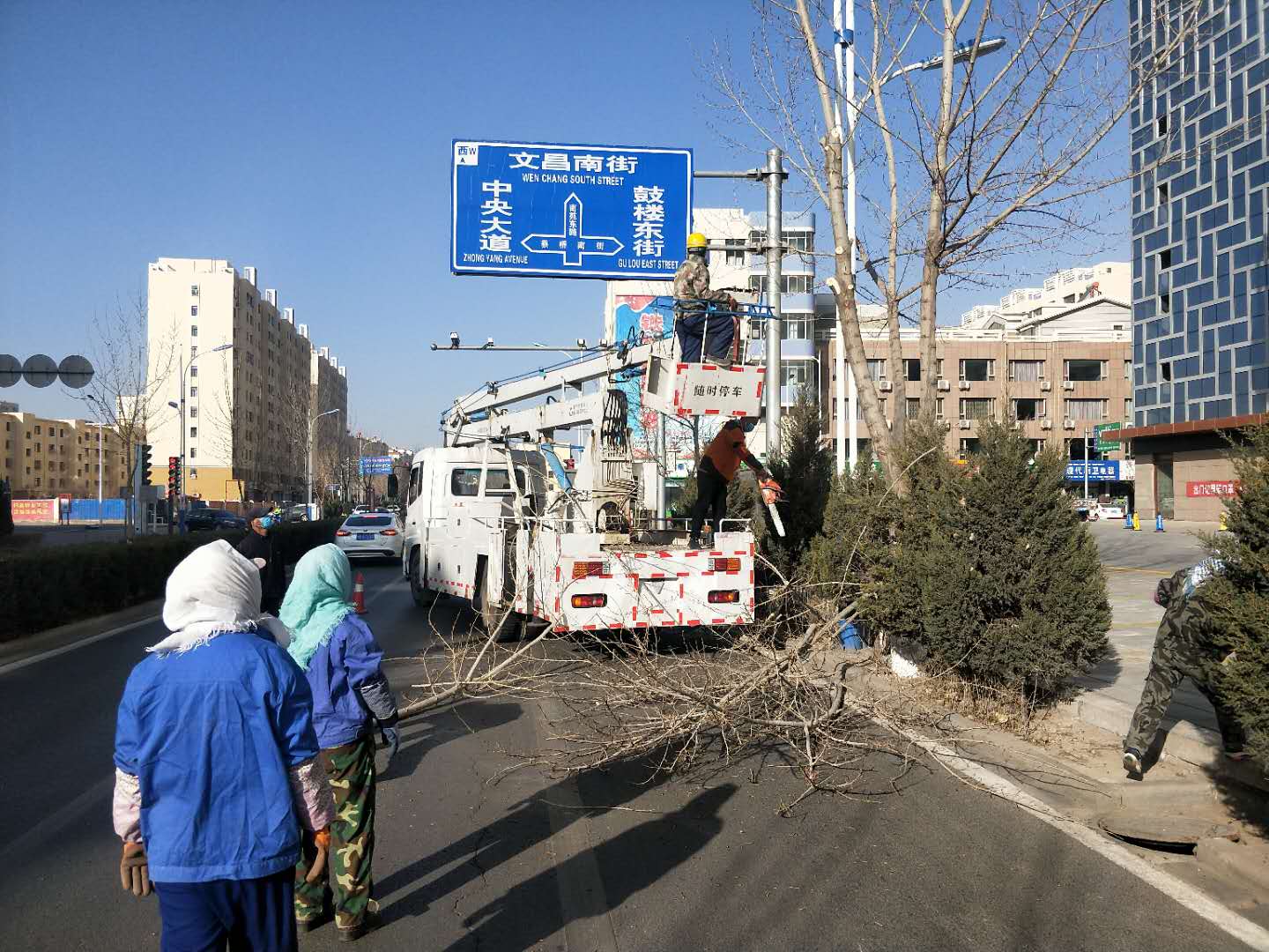 交警联合林业部门对辖区道路周边树木进行修剪，确保通行安全.jpg