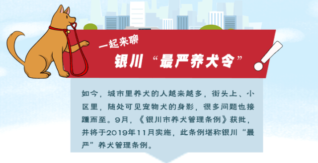 一起来聊 银川史上“最严养犬令”