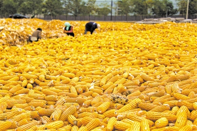 <p>　　绿色保粮利器：高大平仓房。</p>