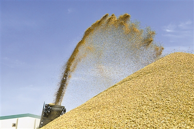 <p>　　现代化粮食加工企业。</p>
