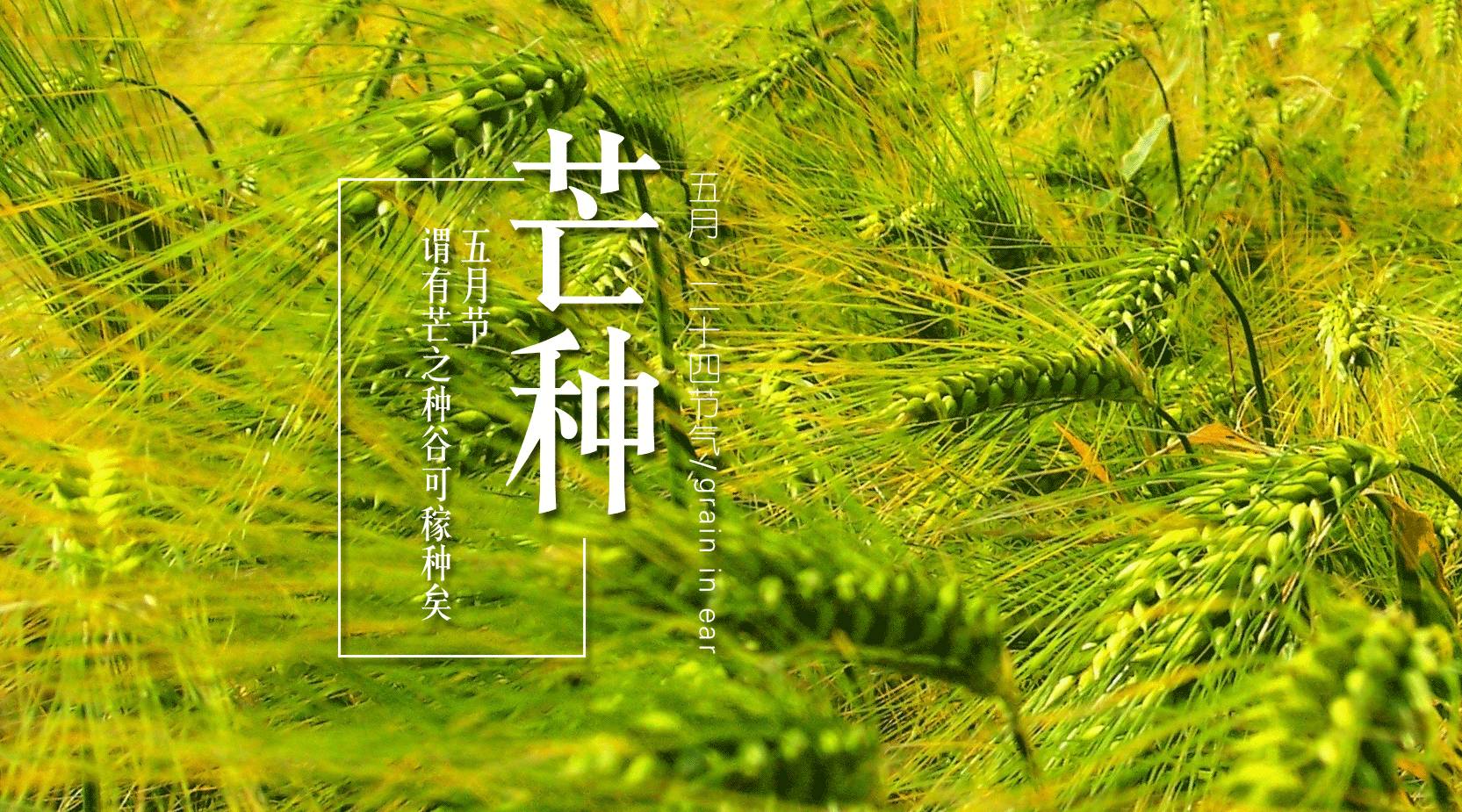 忙3.png