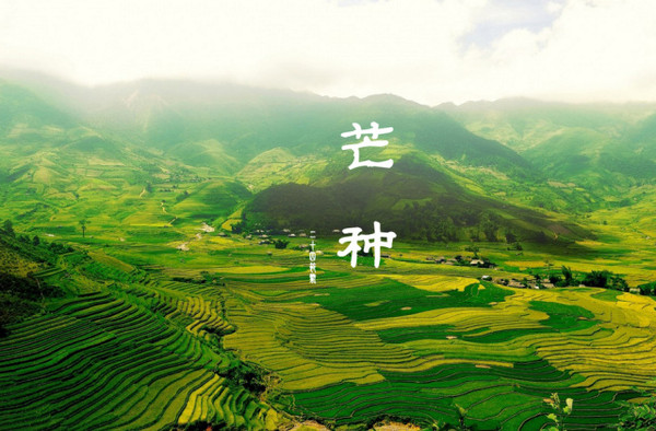 忙1.jpg
