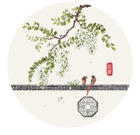 槐花.jpg