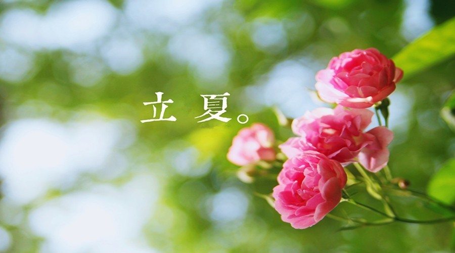 xixik-769260d5664bb0b1.jpg
