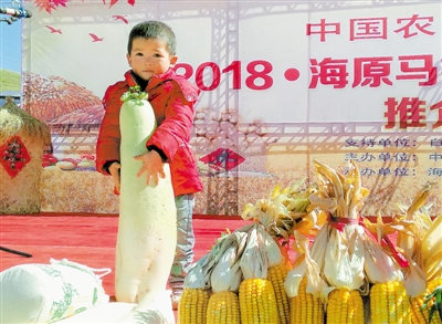 <p>　　丰收节活动现场，4岁的小朋友车车尝试抱起大萝卜。</p>