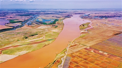 黄河岸边田——绘就生态美