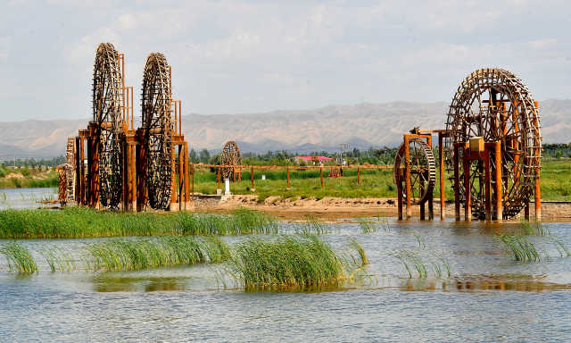 中卫市推进项目建设助力黄河中卫段水生态水环境改善