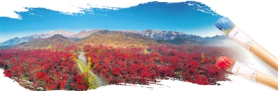 <p>　　贺兰山北武当森林公园十里红叶。</p>