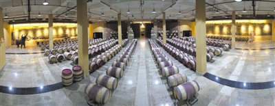 <p>　　贺东庄园葡萄酒窖将葡萄酒文化和酿造展示熔于一炉。</p>