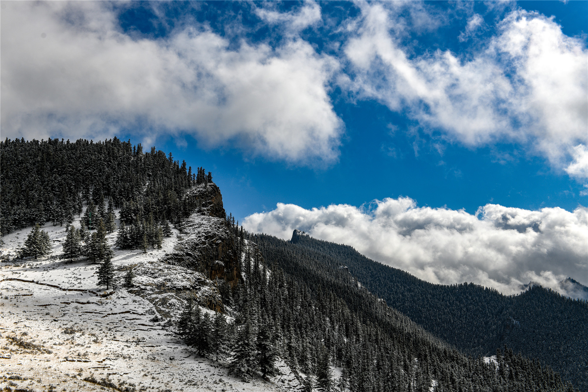 DSC_4144.jpg