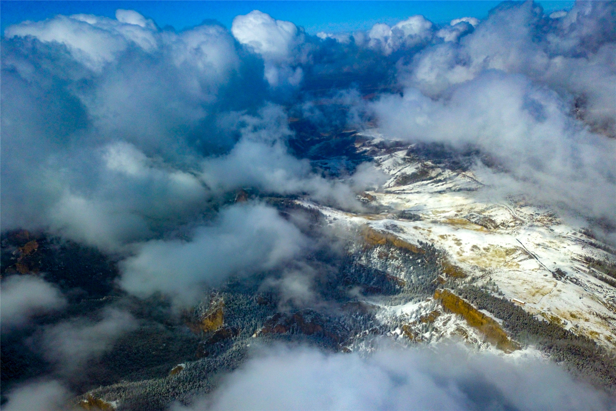 DJI_0601.jpg
