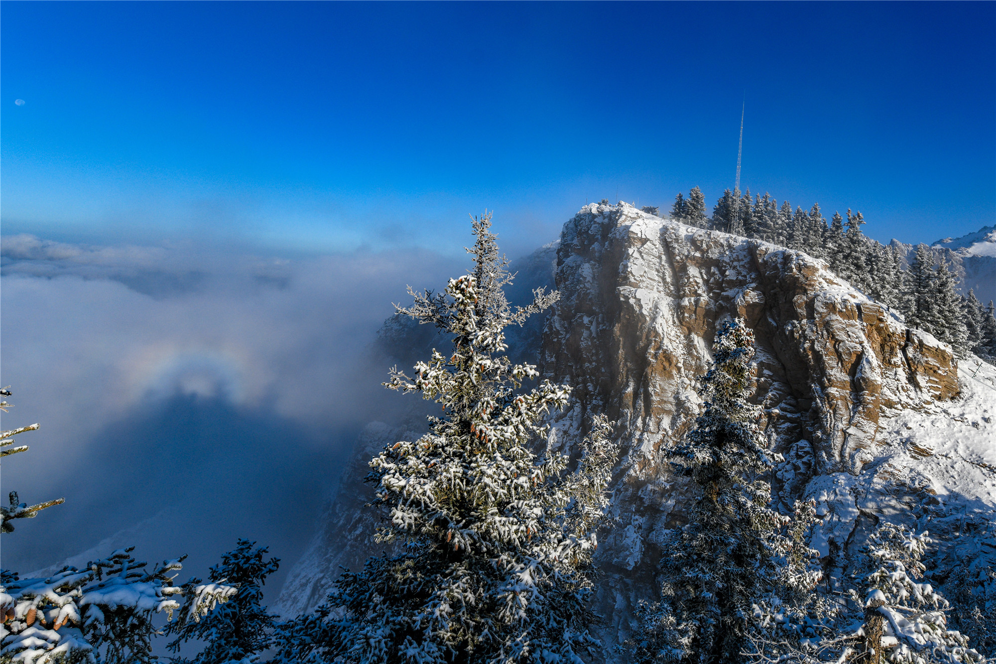 DSC_2222.jpg