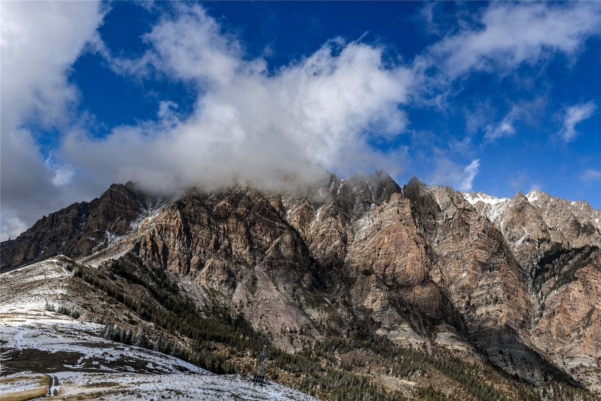 DSC_3937.jpg