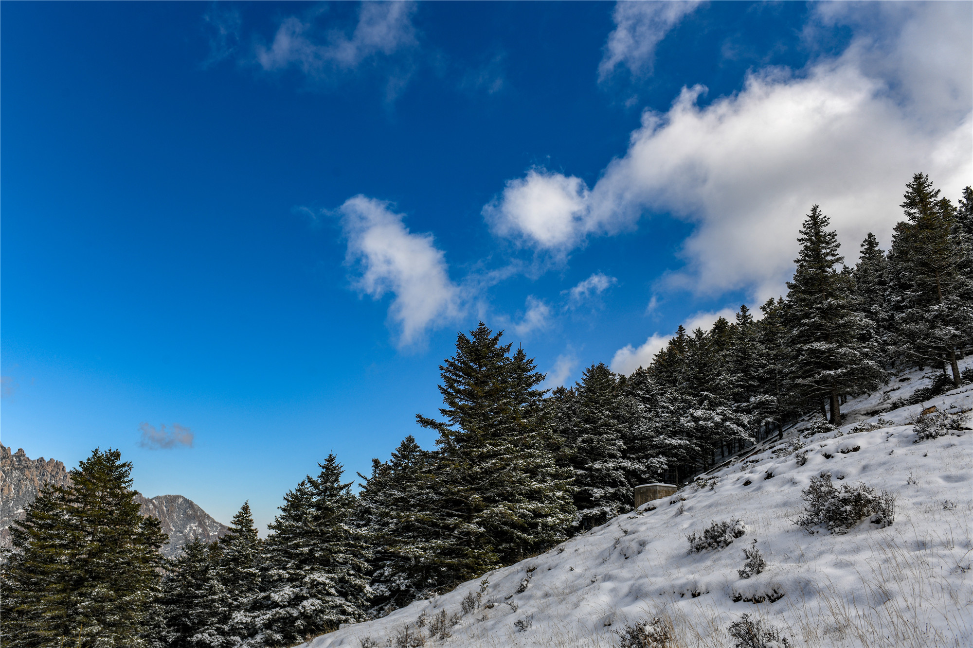 DSC_3939.jpg