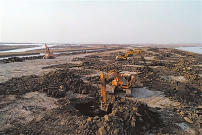 水位下降后，沙湖实施湖底清淤工程。1月24日，大量挖掘机正在清淤。统计显示，排水清淤以来，沙湖总清淤量150万方左右。本报记者    季正    摄