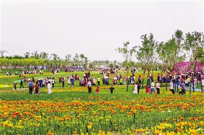 <p>　　今年9月，石嘴山市首届百合花节游人如织。</p>
