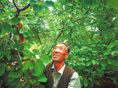 <p>　　白河村村民采摘装运辣椒。</p>