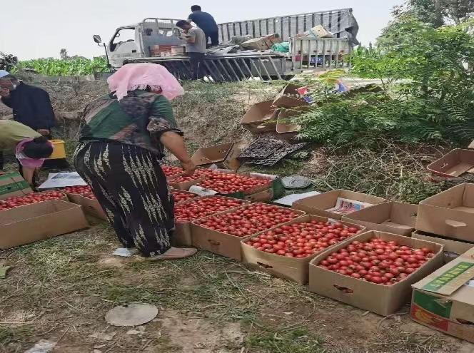 微信图片_20220719182919.jpg