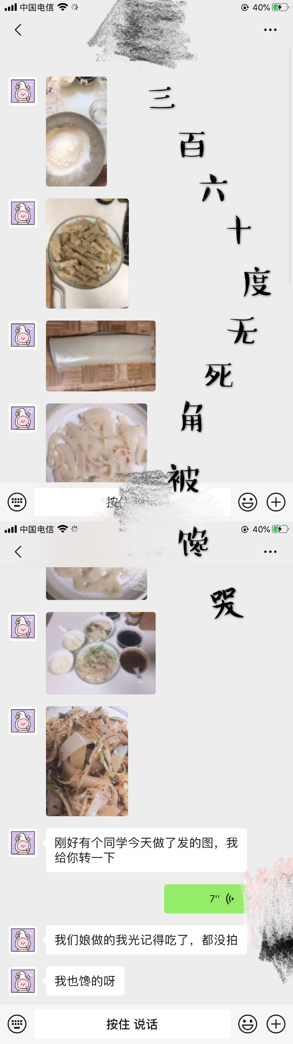 赵文婷.jpg