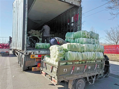 <p>　　捐赠湖北的大白菜被装上卡车。</p><p>　　本报记者　张瑛　摄</p>