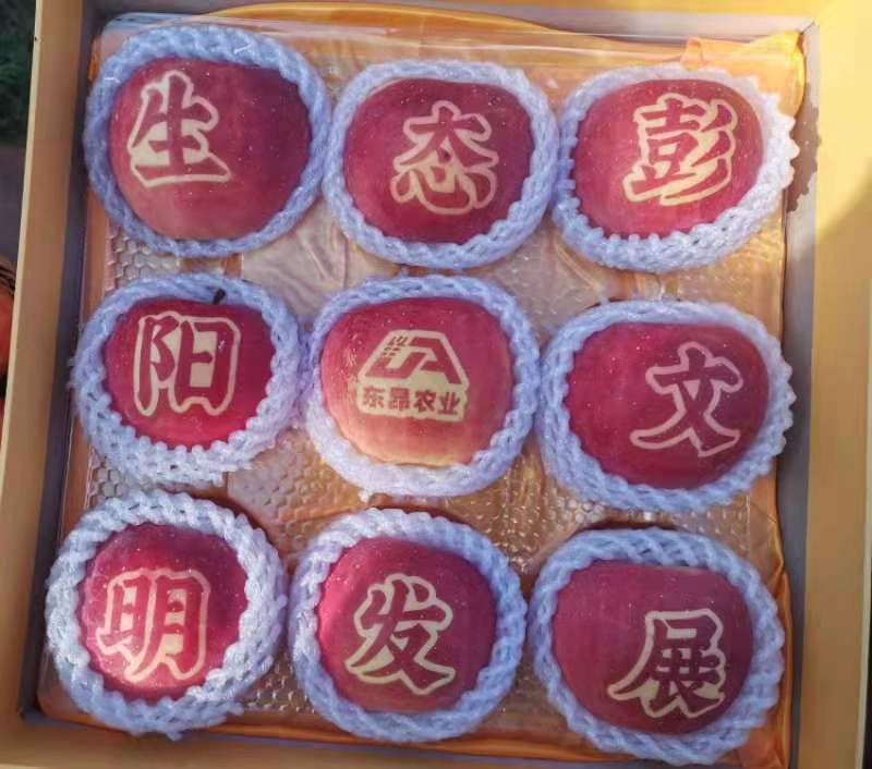 微信图片_20200930115436.jpg