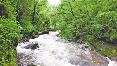 <p>　　泾源县溪流潺潺。</p>