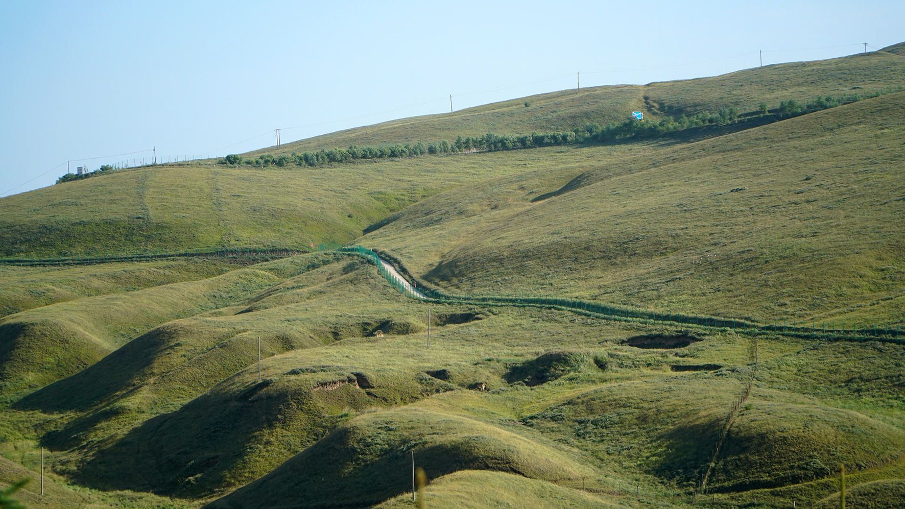 DSC09253-1.jpg