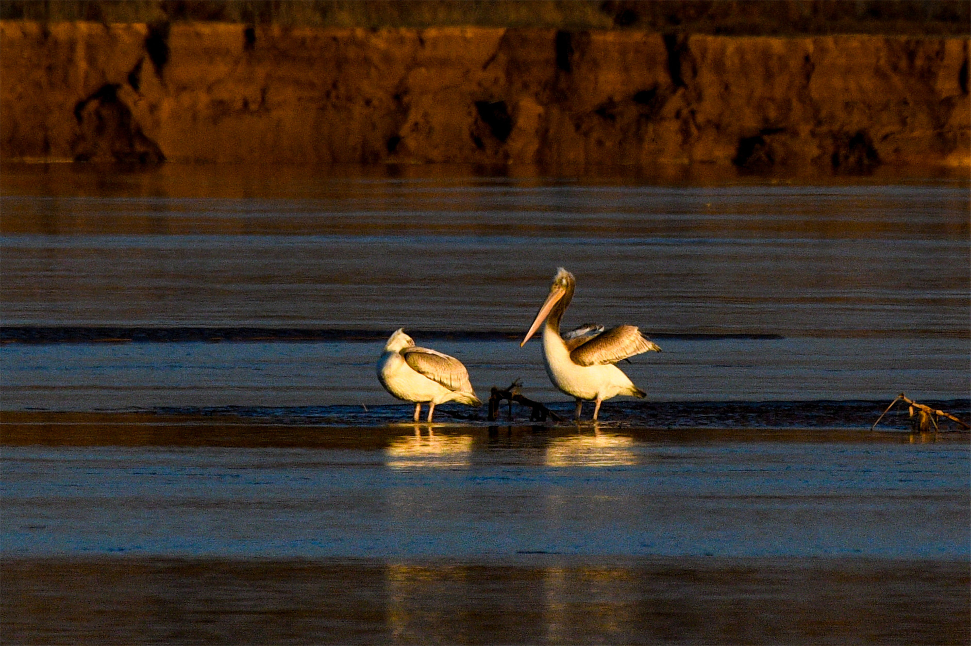 DSC_9376.jpg