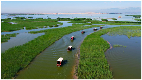 沙湖画舫.jpg