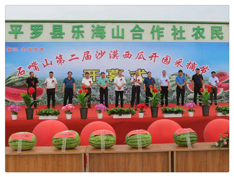 西瓜节.jpg