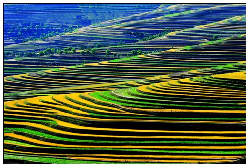 青云湾梯田.jpg