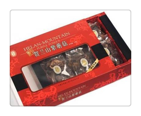 贺兰山紫蘑菇 (3).jpg