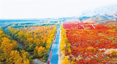 <p>　　红叶林</p>