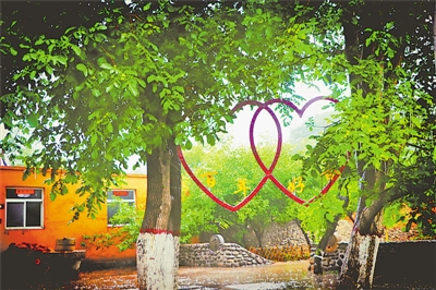 <p>　　龙泉村百年核桃树</p>