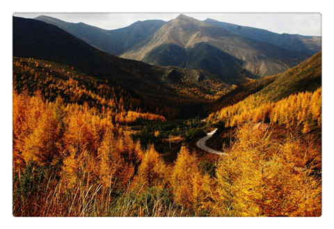 南华山.jpg