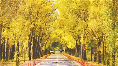<p>　　　　哈巴湖生态旅游区　　　（本版文图均由盐池县文化旅游广电局提供）</p>