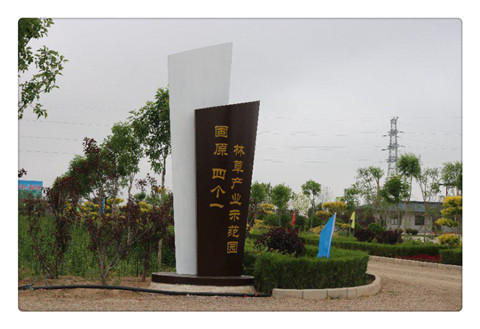 “四个一”试验示范园1.jpg