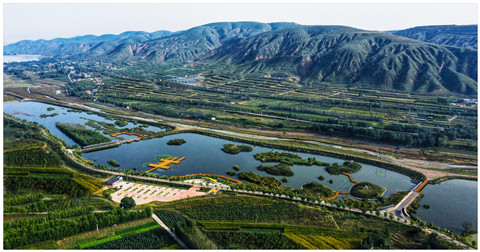沈家河湿地公园.jpg