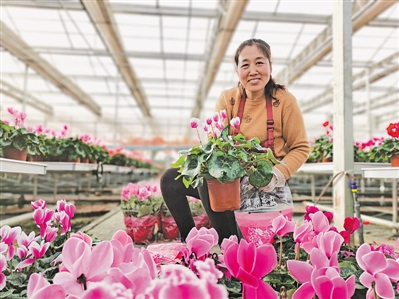 大新镇：小康路上花香果甜