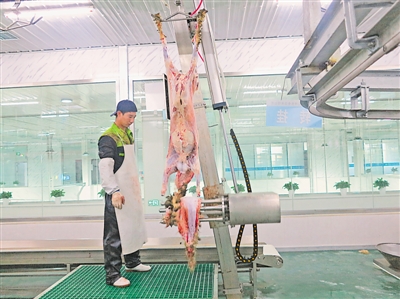 <p>　　　　宁夏福兴神农食品有限公司的工人在分割滩羊肉。</p>