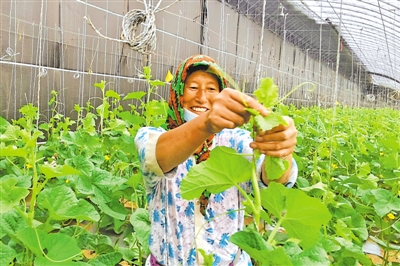 <p>　　村民在大棚里忙碌。</p>