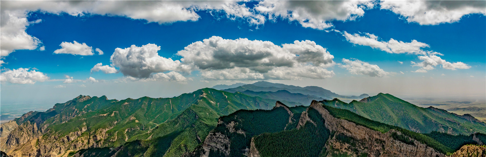 贺兰山披绿衣.jpg