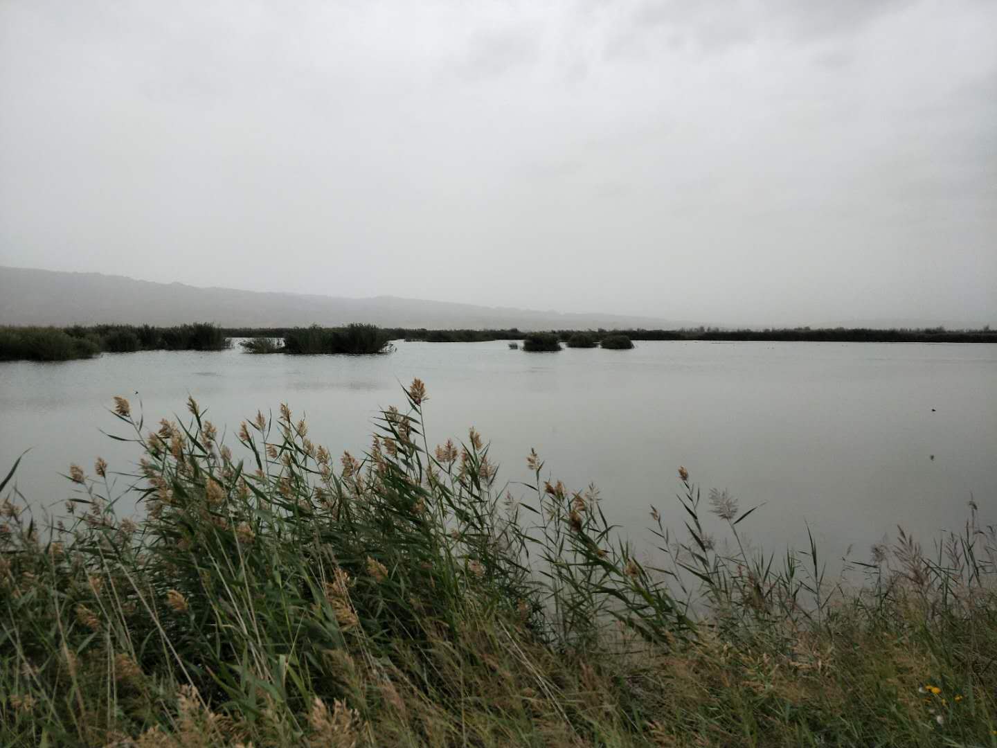 1--微信图片_20200819162545.jpg