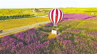 <p>　　宁夏艾伊薰衣草庄园。</p>