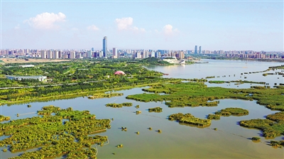 <p>　　各类场馆　（本版文图除署名外均由金凤区文化旅游体育广电局提供）</p>