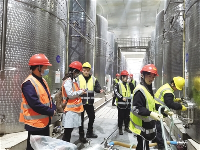 <p>　　宁夏大学食品与葡萄酒学院本科生参加葡萄酒酿造实习。</p>