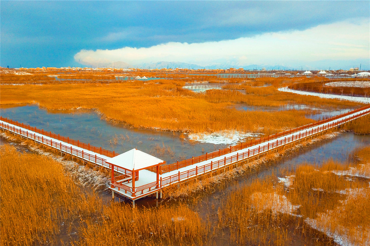 雪景沙湖 (35)_副本.jpg