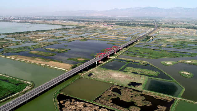W020200615794566897199.jpg